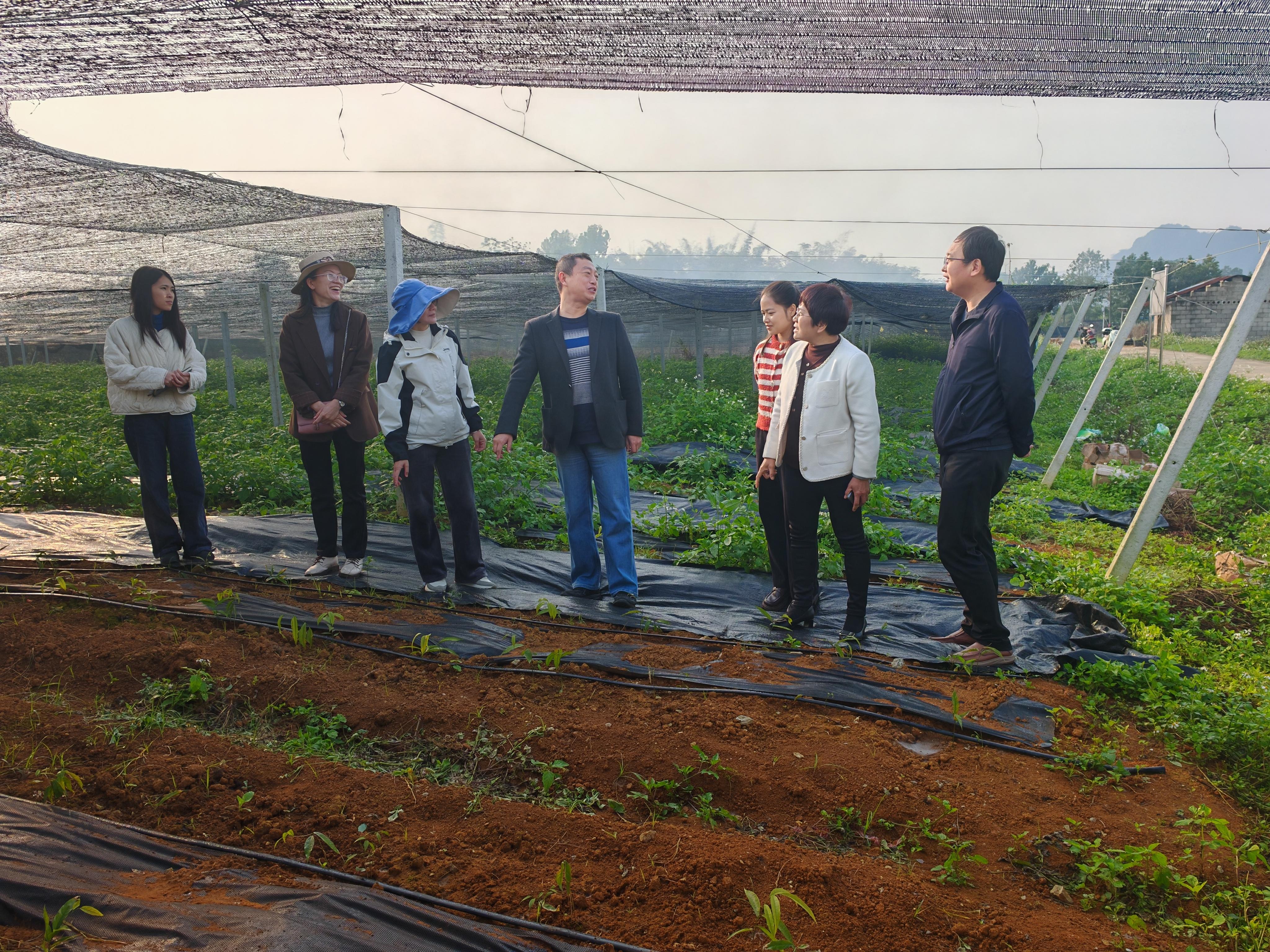 1738235394460133.jpg 1738235394460133.jpg